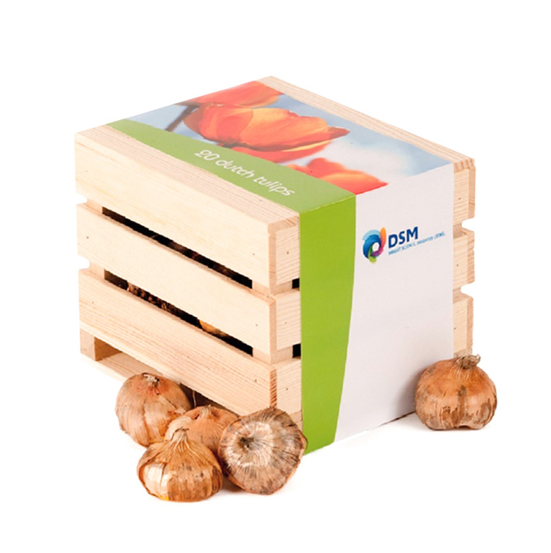 Wooden box with flower bulbs